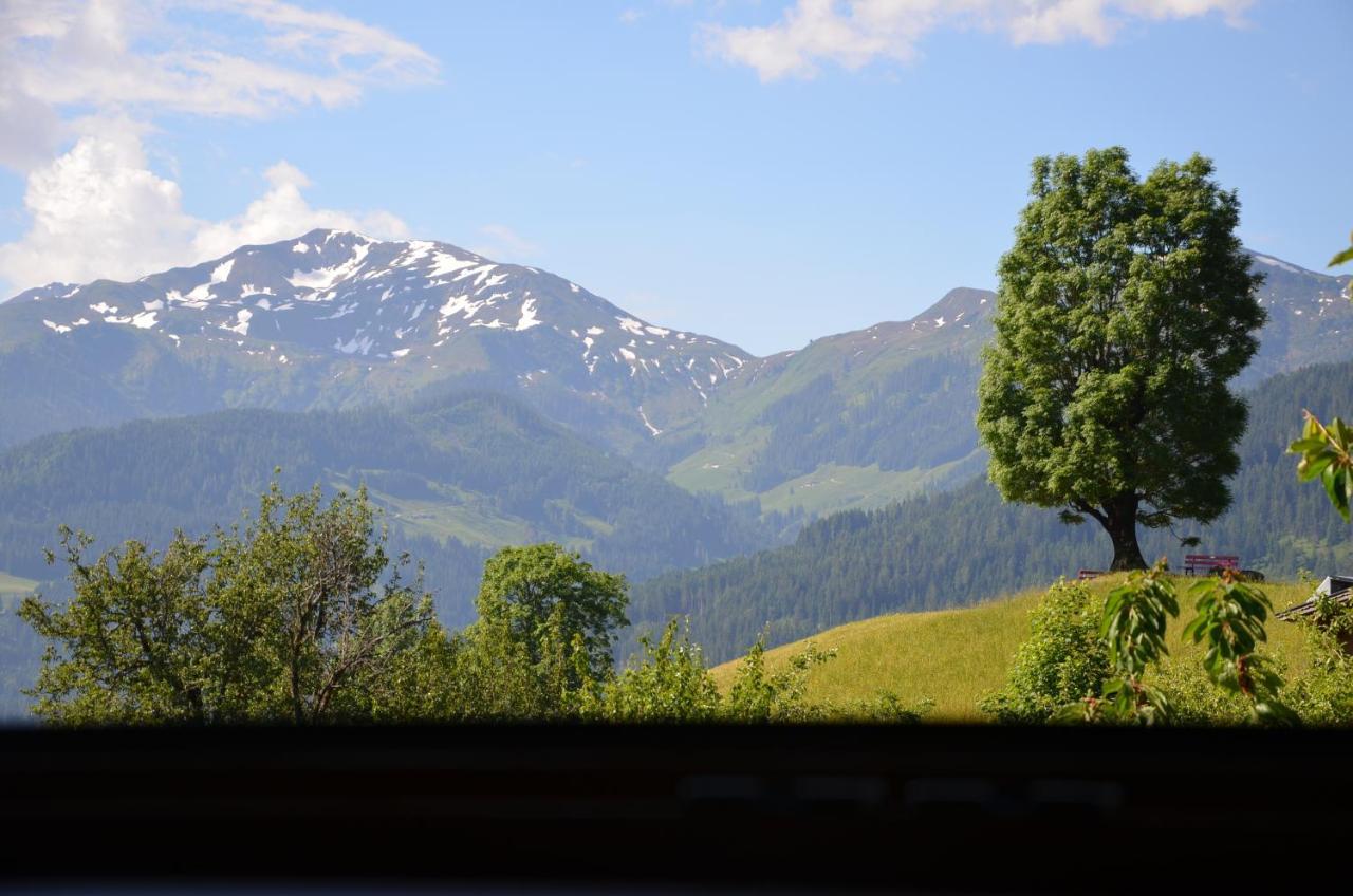Gasthof Schoental Oberau Dış mekan fotoğraf