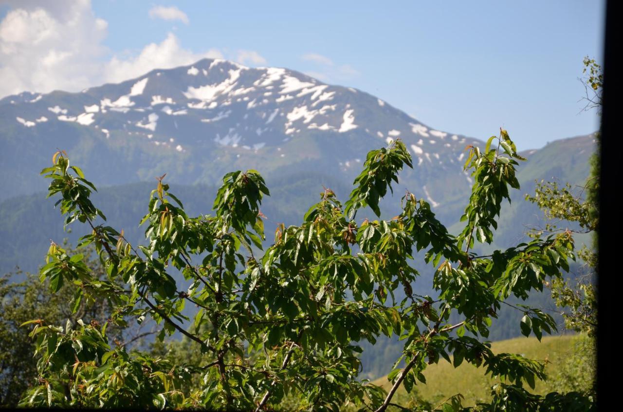 Gasthof Schoental Oberau Dış mekan fotoğraf